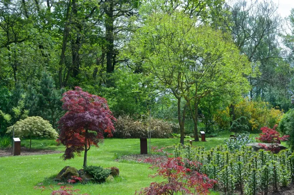 Orientální zahrada