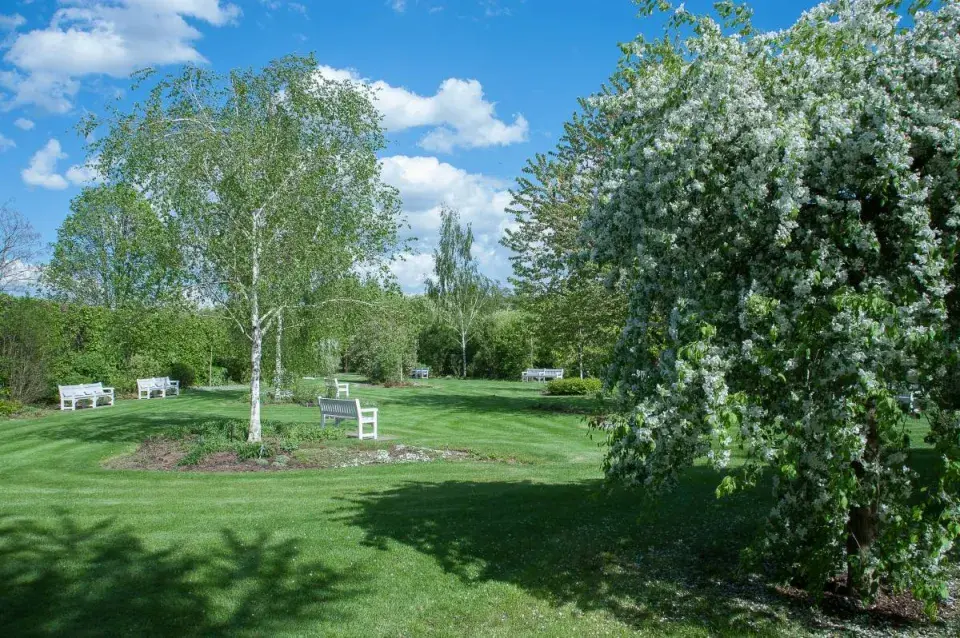 Zahrada k rozjímání