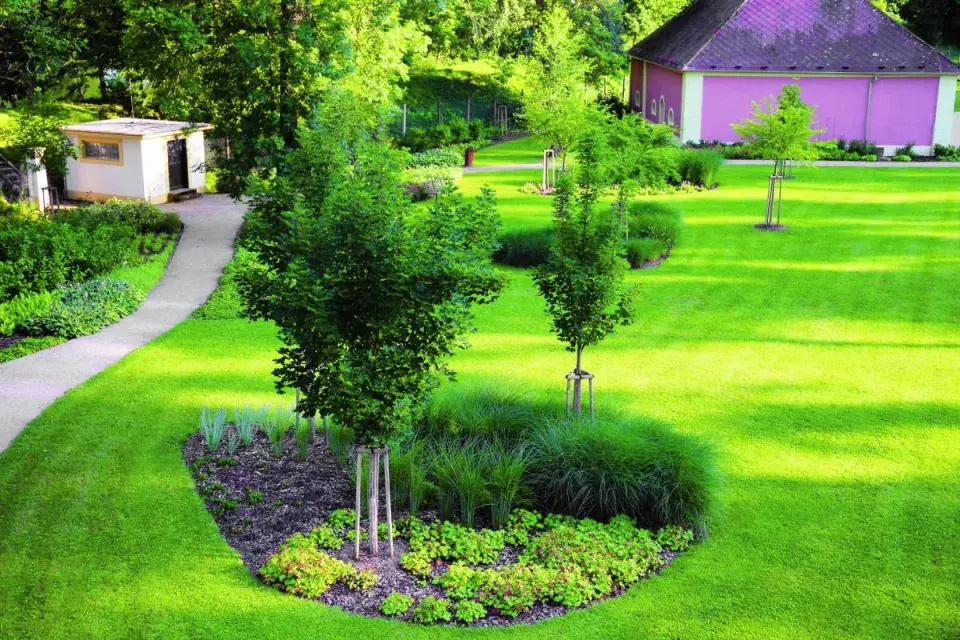 Park zámku Mitrowicz