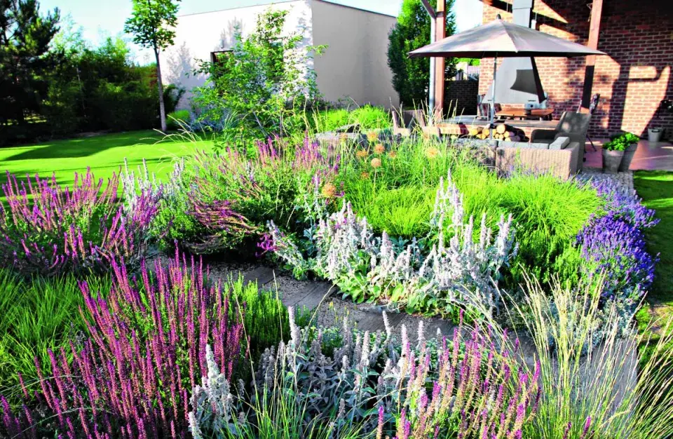 Pohled přes výsadbu ke krbu