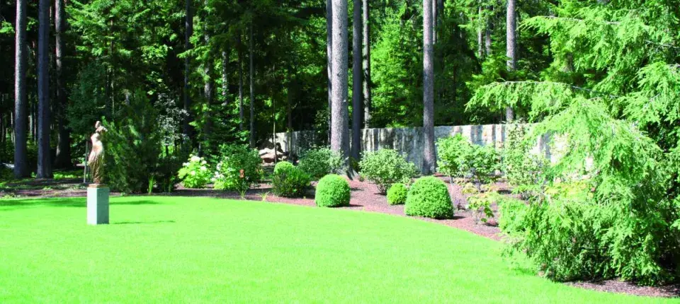 Zákoutí se stálezelenou výsadbou