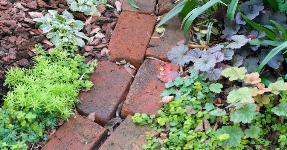 Barevně zajímavé materiály