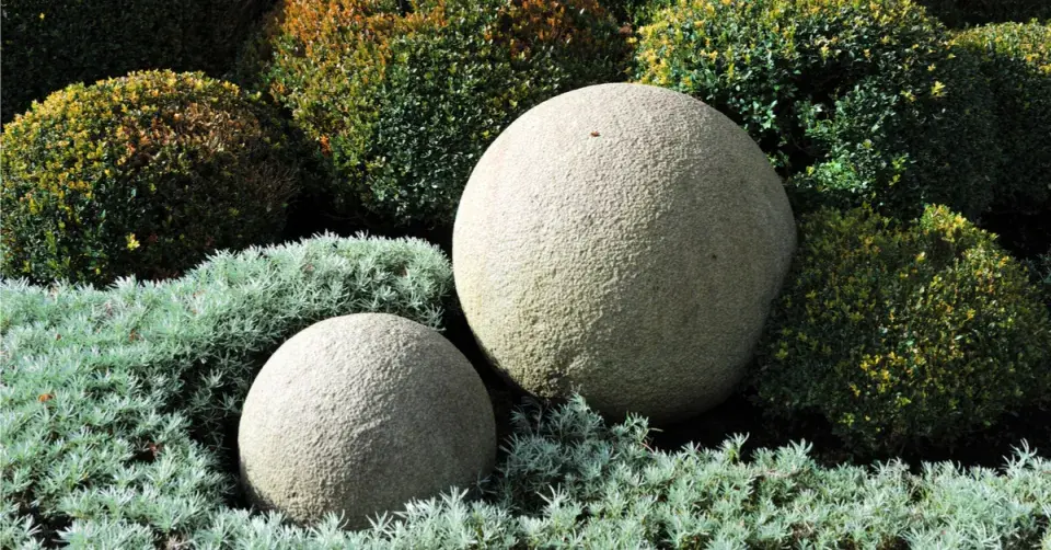 Kulovitá dekorace uprostřed zimostrázů