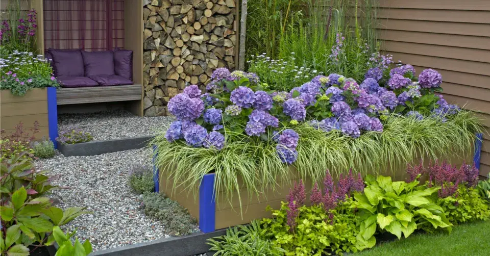 Záhon plný kontrastů