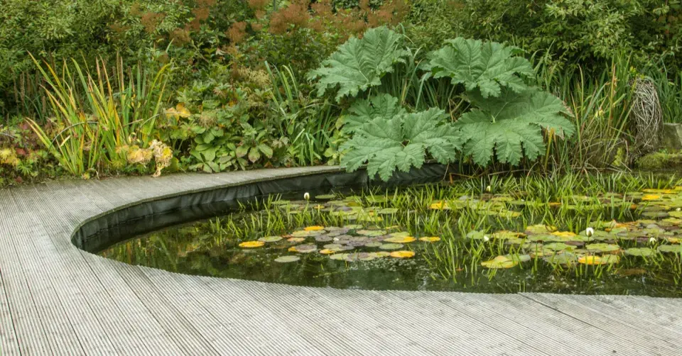 Jezírko kulatého tvaru