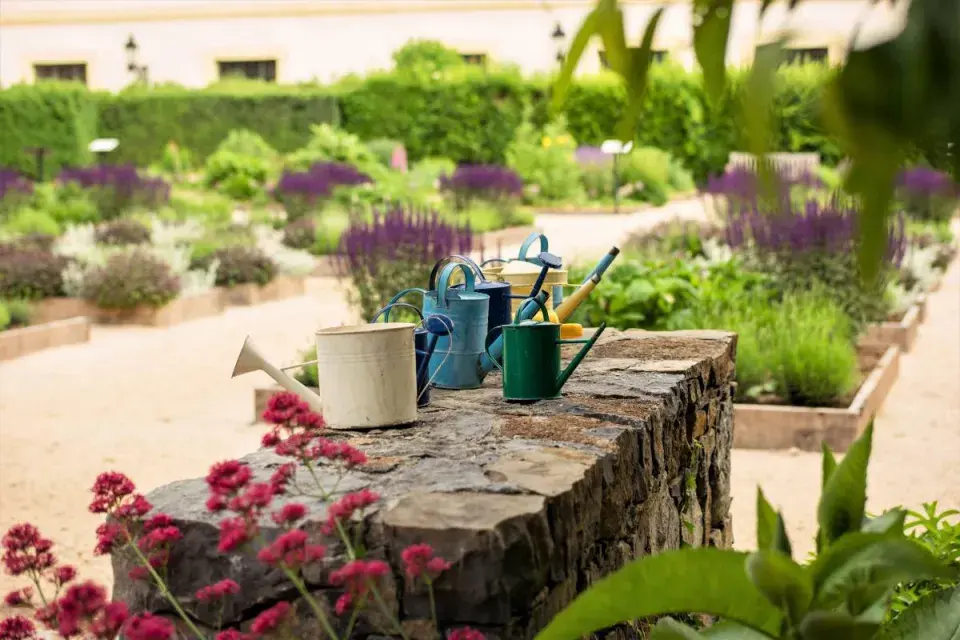 Konvičky k zalévání rostlin