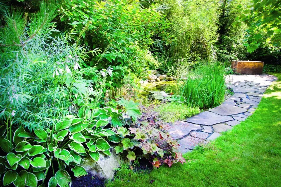 Výsadba v okolí zahradního jezírka