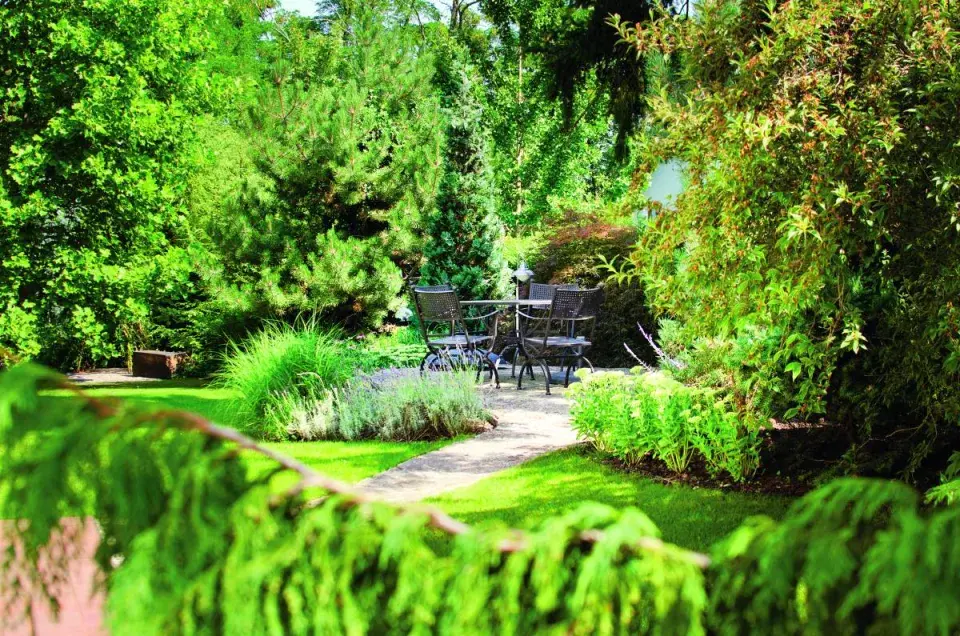 Zahradní posezení mezi stromy