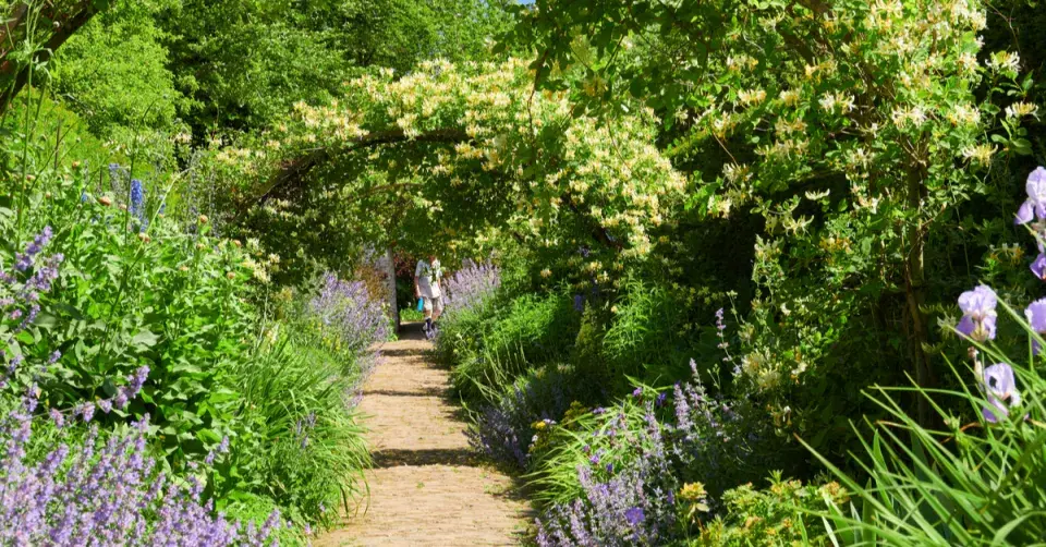 Perspektiva v zahradě