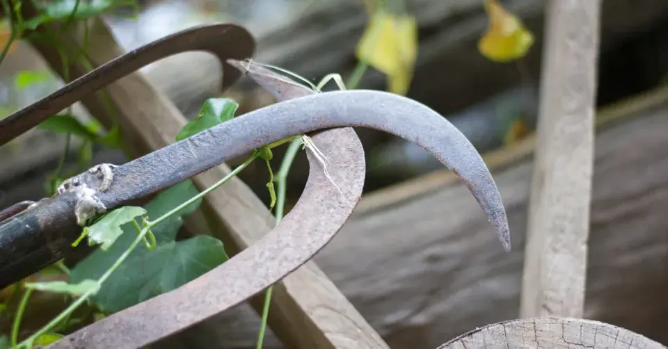 Srp ke sklizni bylinek