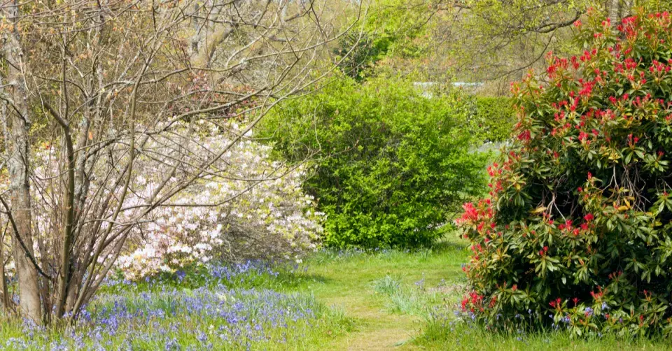 Zahrada v přírodním stylu