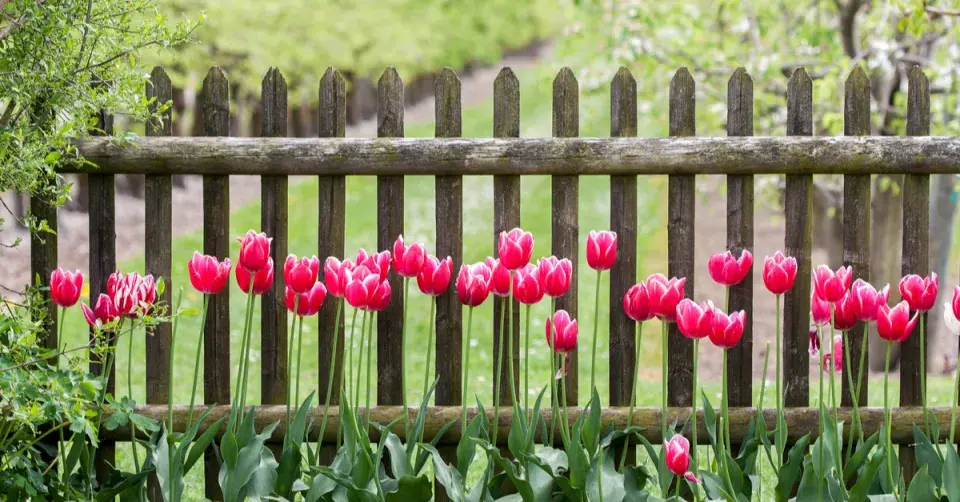 Průhledné oplocení