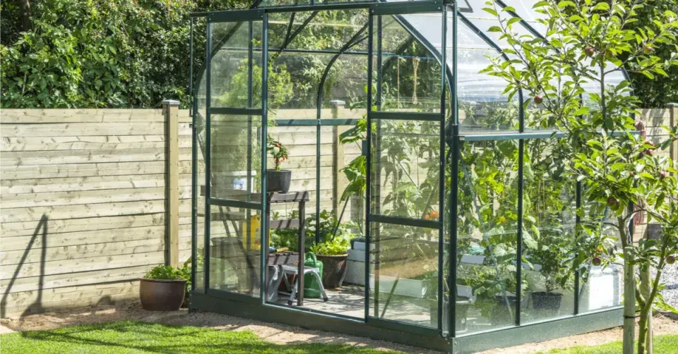 Moderní skleník