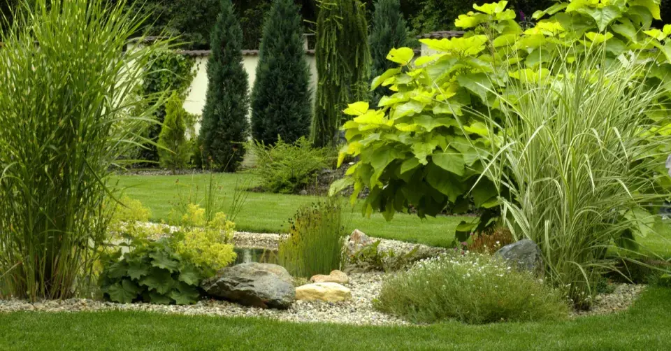 Výsadba v odstínech zelené