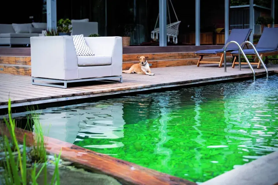 Biologicky čištěný bazén  