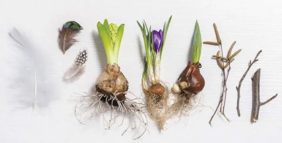 Co budete potřebovat