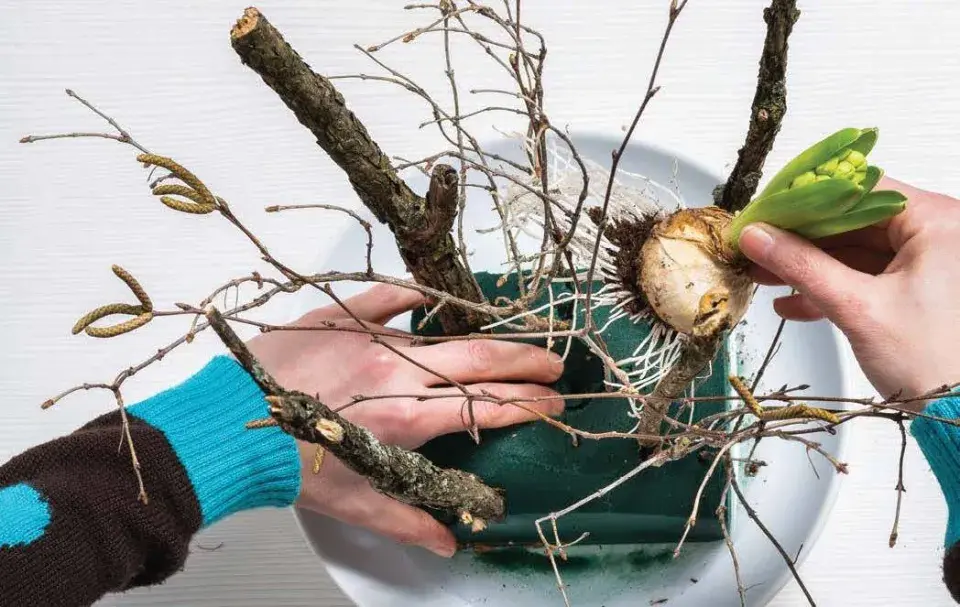 Postup krok za krokem