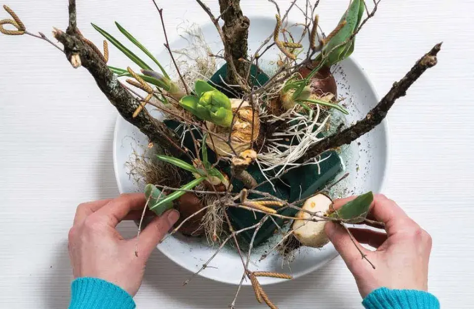 Postup krok za krokem