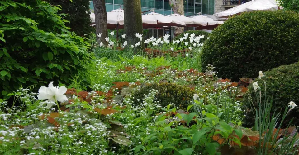 Restaurace v zahradě