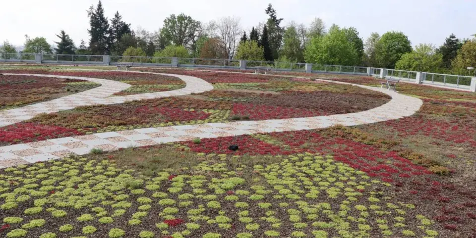 Střecha parkovacího domu Fakultní nemocnice Plzeň
