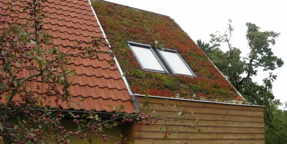 Šikmá zelená střecha na rodinném domě