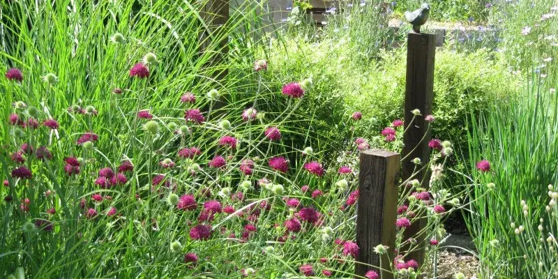 Stanice přírodovědců DDM hl. m. Prahy