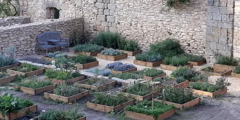 Venkovská zahrada Dřevčice a Bylinková zahrada Levandule