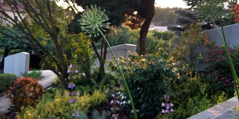 Zahrada Jízdných ve Velkém Meziříčí