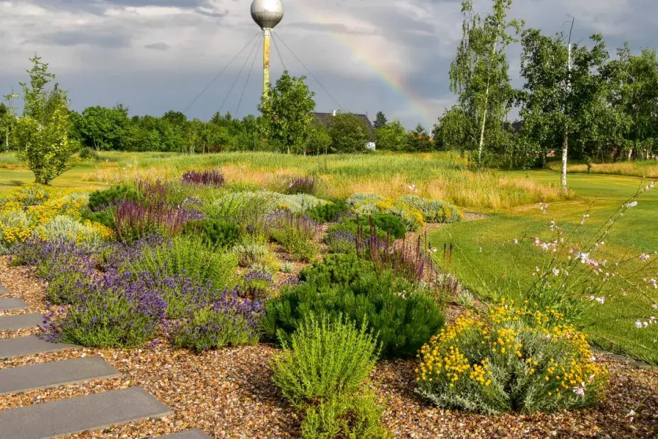 Suchomilné trvalky ve štěrkovém záhonu
