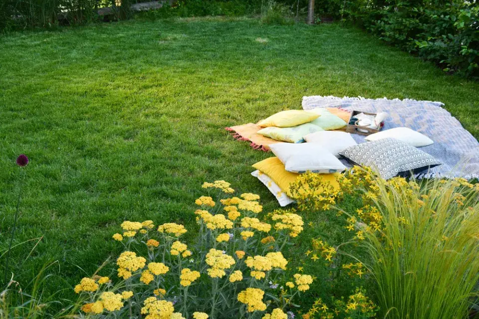 Trávník – volný prostor pro cokoli