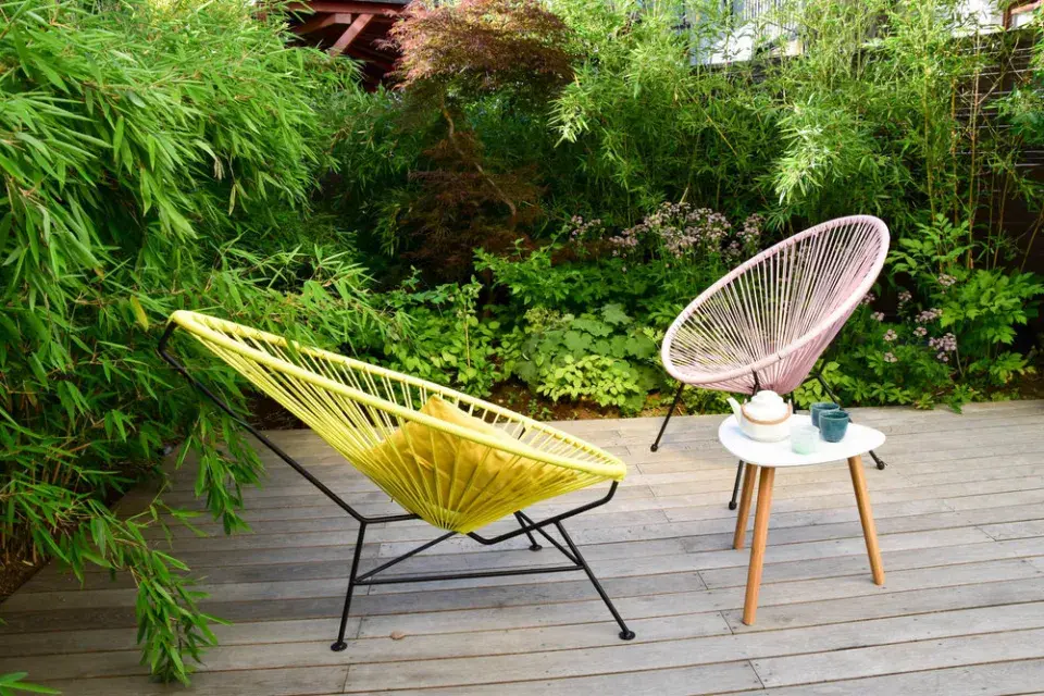 Bambusy v rohu atria