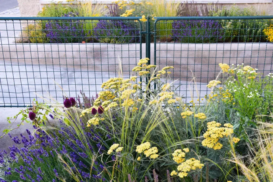 Opravený původní plot