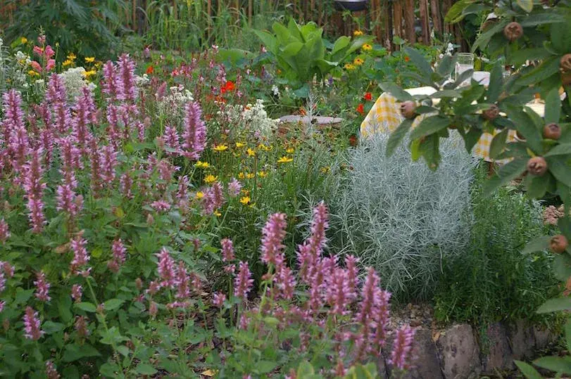 Výsadba na zahradě restaurace Jelica