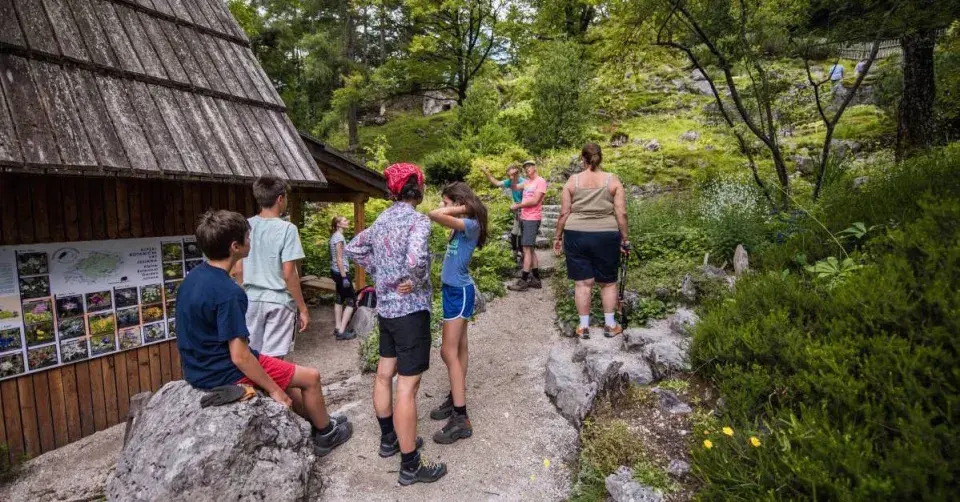 Návštěvníci zahrady