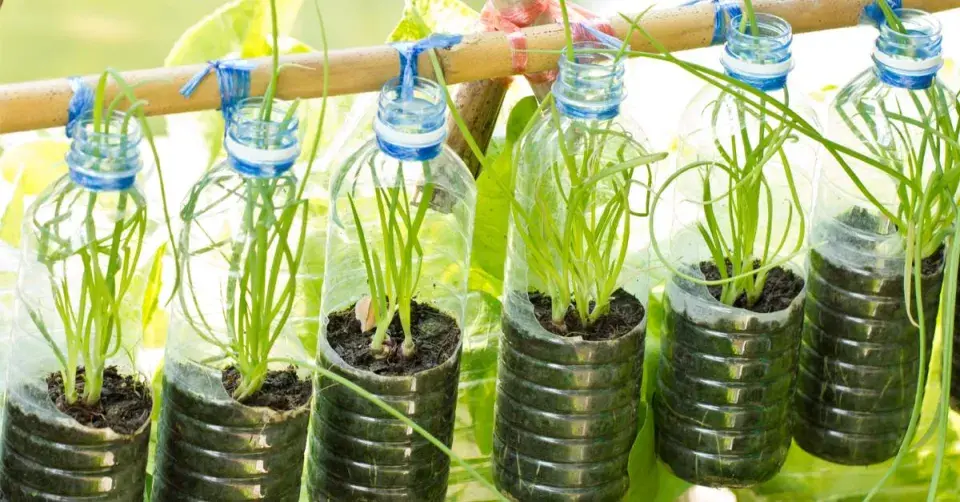 Osázené PET láhve