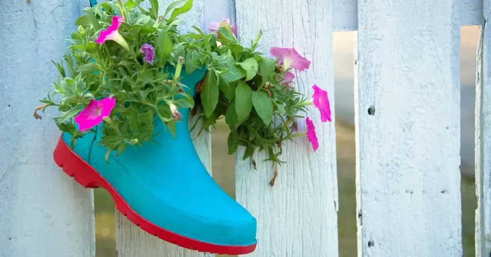 Letnička v holínce