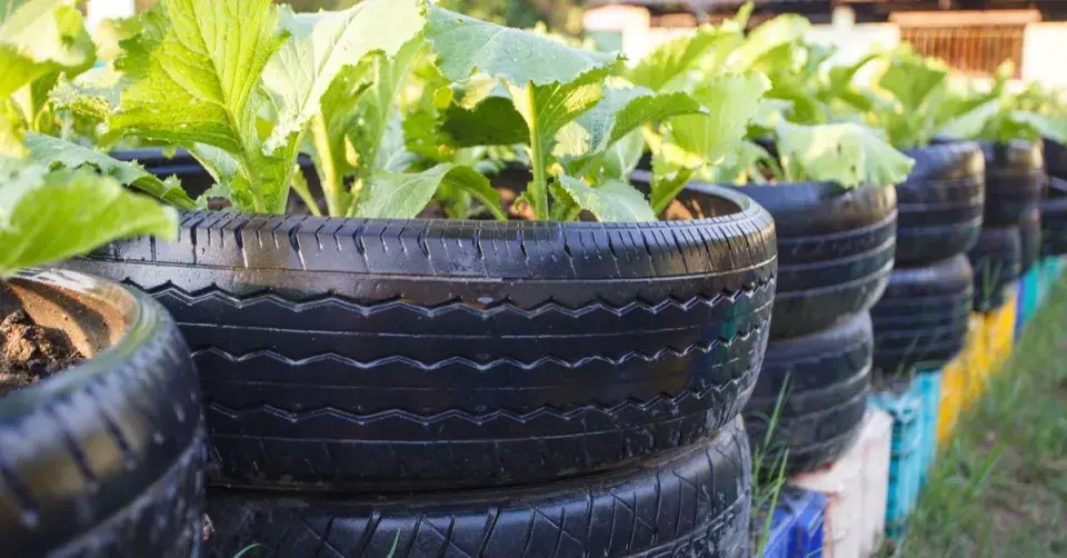 Osázené pneumatiky