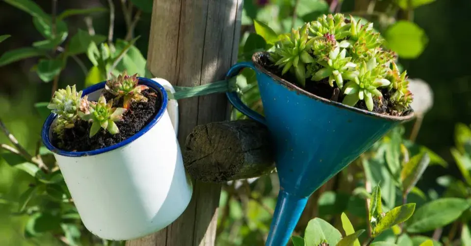 Osázený plecháček a trychtýř