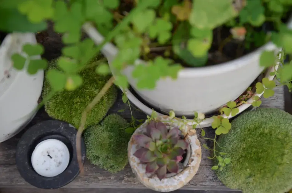 Květináče, svíčky, mechy...