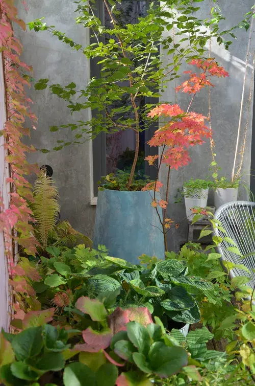 Výsadba v podzimních barvách 