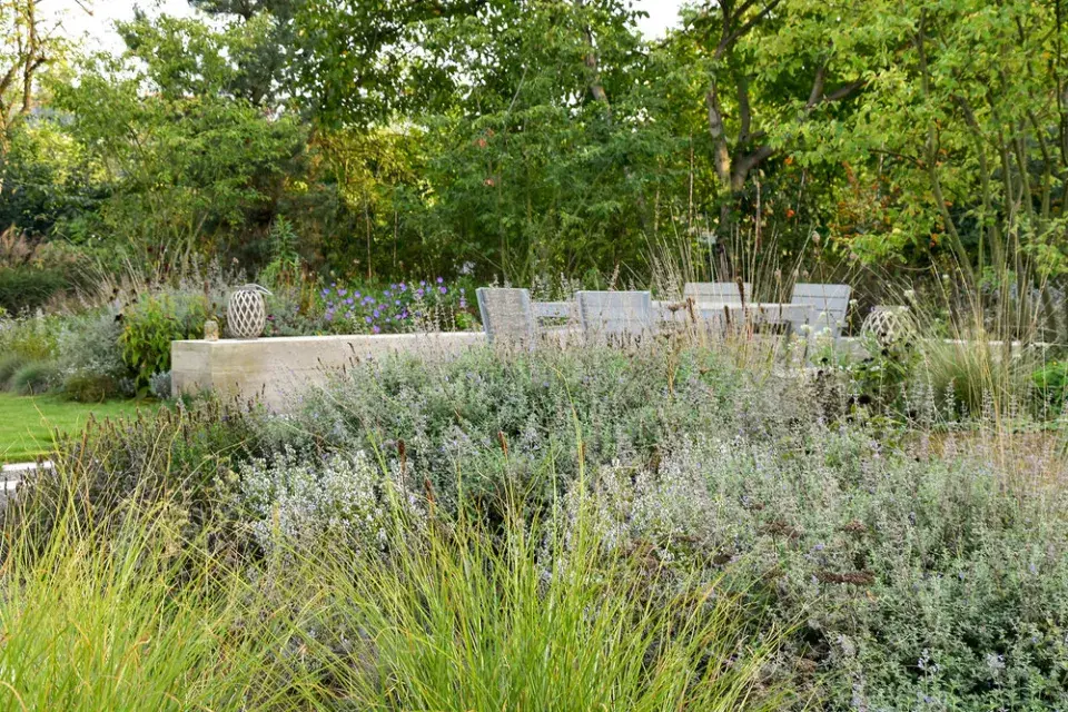 Záhony v okolí sezení