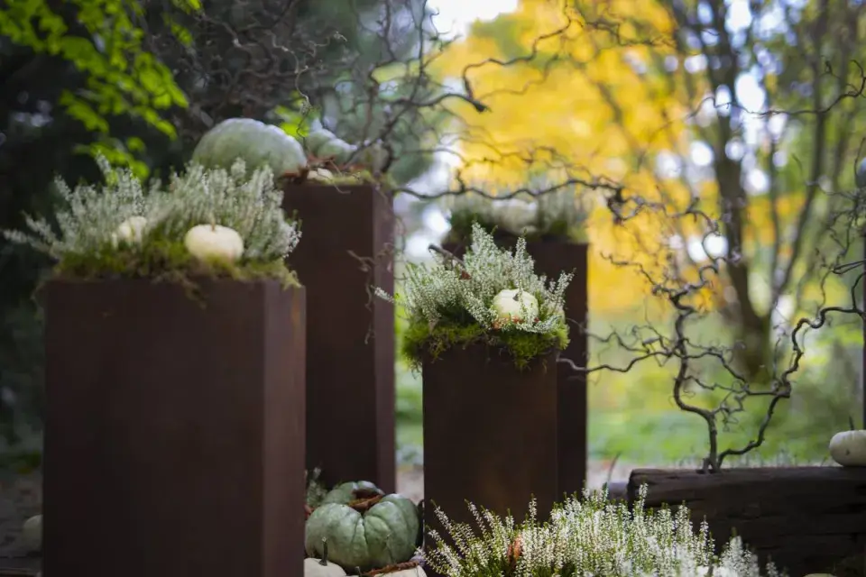 Moderní dýňové aranžmá