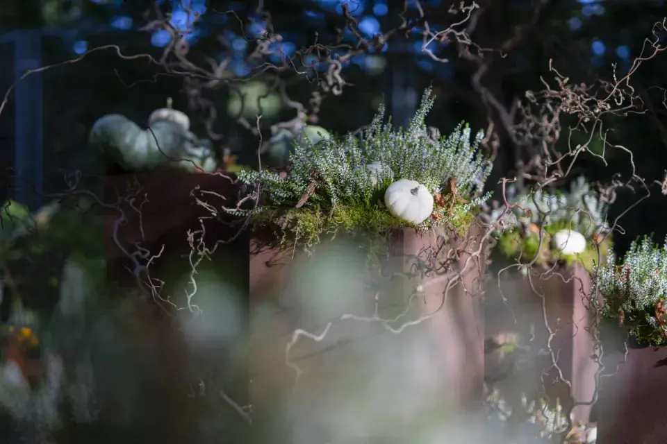 Moderní aranžmá s dýněmi