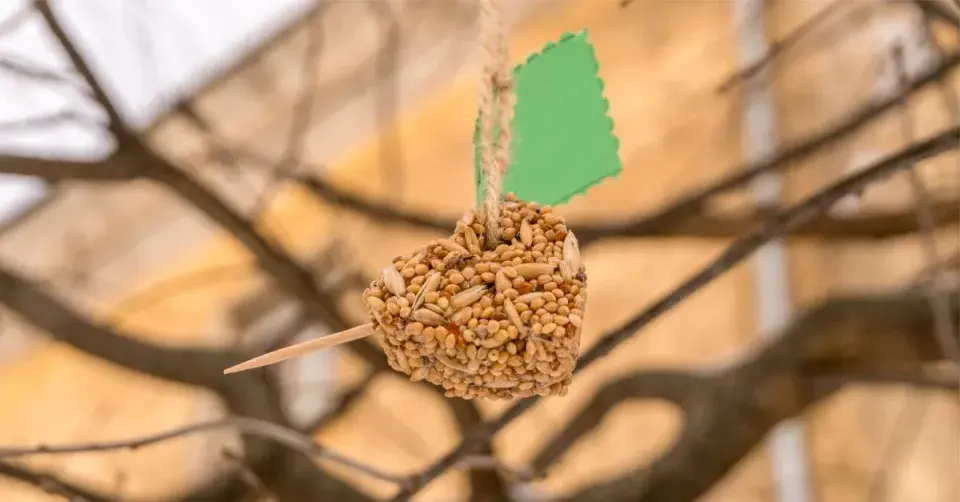 Závěsné krmítko ze semen