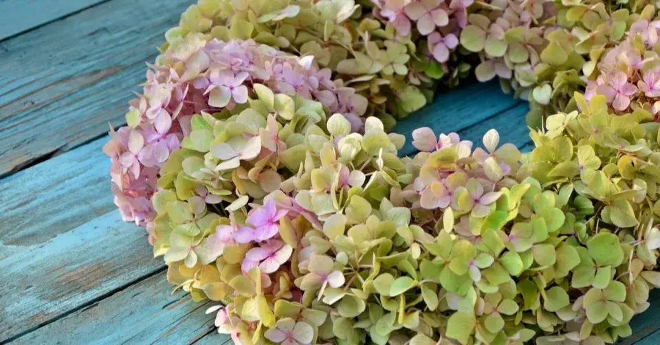 Věnec z květů hortenzie