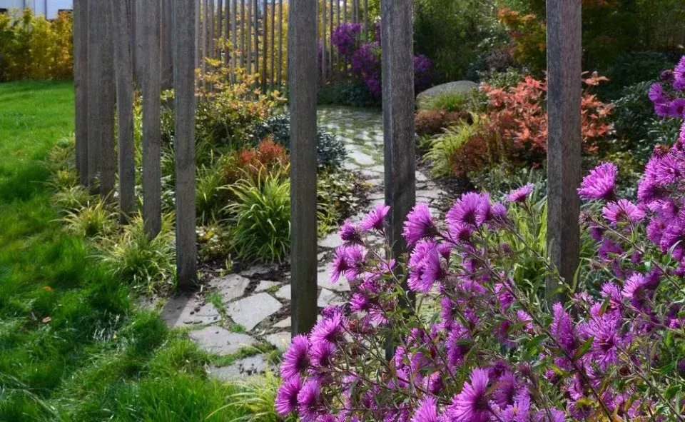 Podzimní hvězdnice