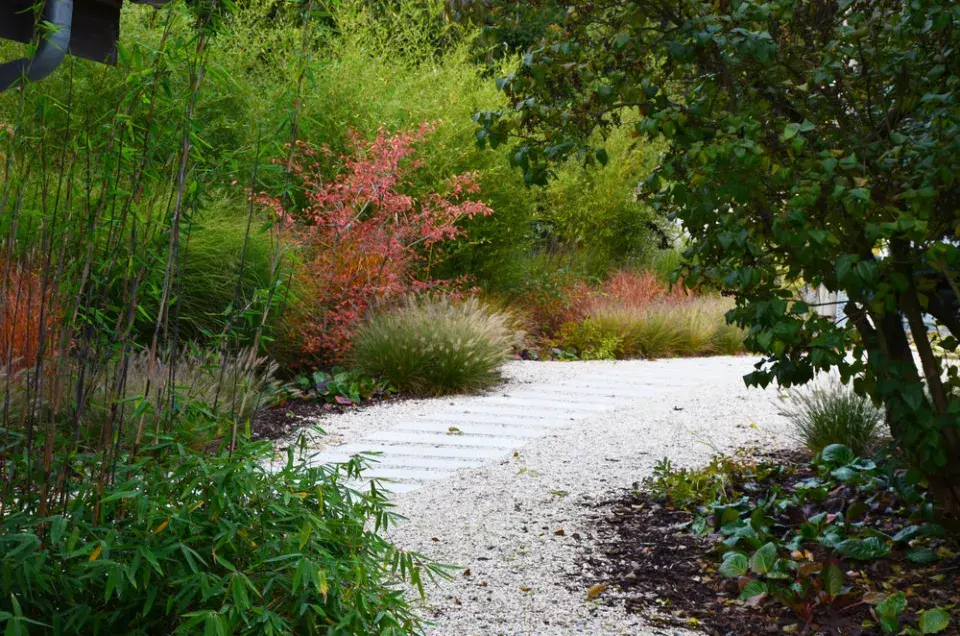 Cesta v předzahrádce