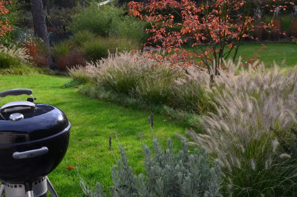 Okolní výsadba travin