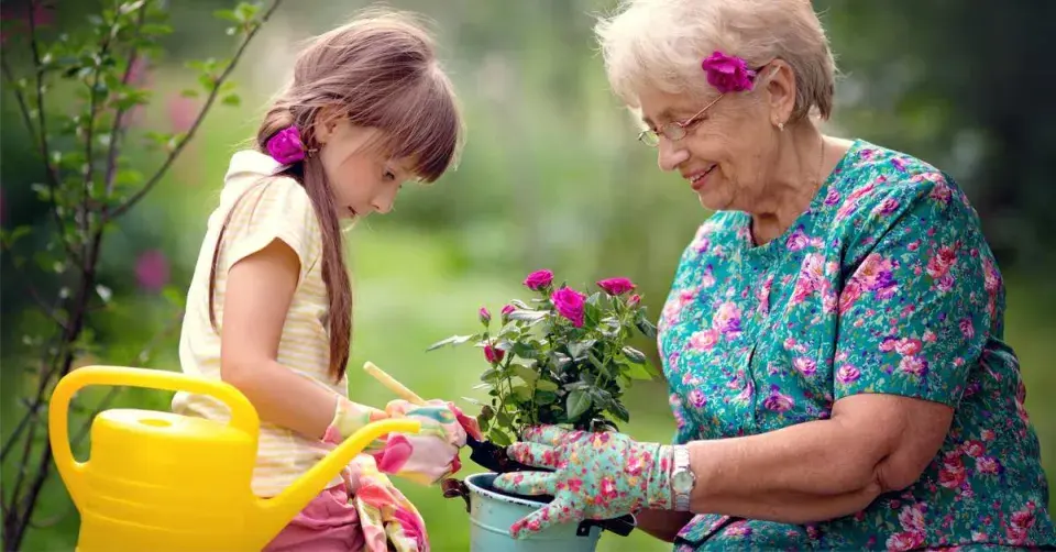 Babička s vnučkou sázejí růži