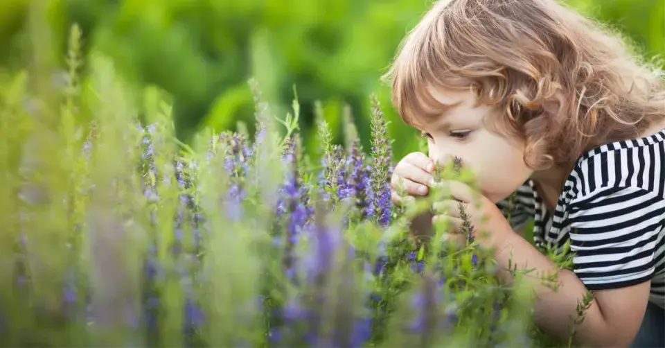 Dítě vonící k bylinkám